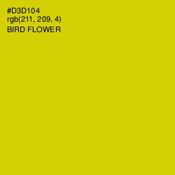 #D3D104 - Bird Flower Color Image